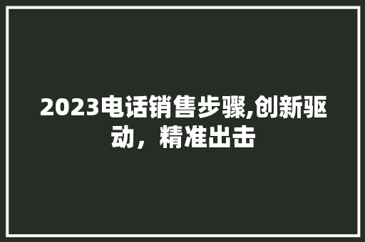 2023电话销售步骤,创新驱动，精准出击