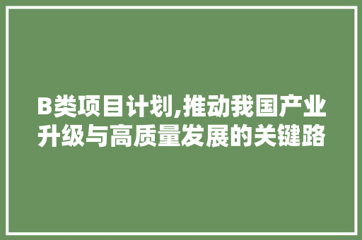 B类项目计划,推动我国产业升级与高质量发展的关键路径