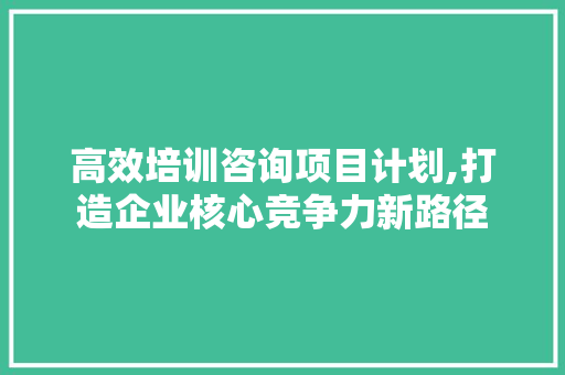 高效培训咨询项目计划,打造企业核心竞争力新路径 国学经典