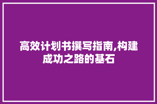 高效计划书撰写指南,构建成功之路的基石 工作计划