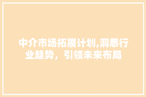 中介市场拓展计划,洞悉行业趋势，引领未来布局