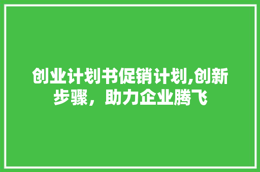 创业计划书促销计划,创新步骤，助力企业腾飞