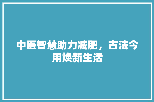 中医智慧助力减肥，古法今用焕新生活 工作计划