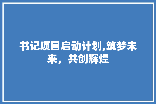 书记项目启动计划,筑梦未来，共创辉煌