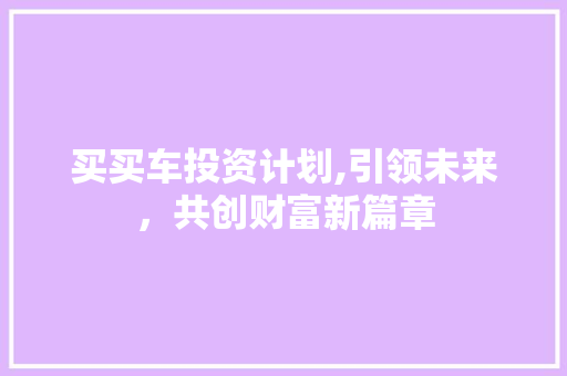 买买车投资计划,引领未来，共创财富新篇章