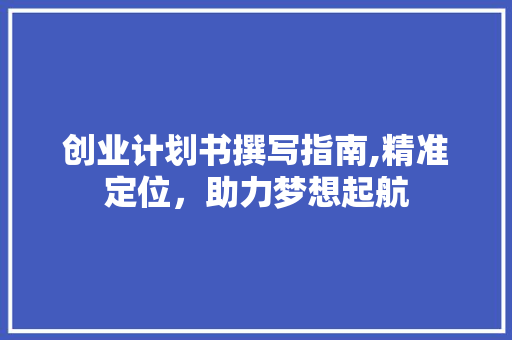 创业计划书撰写指南,精准定位，助力梦想起航