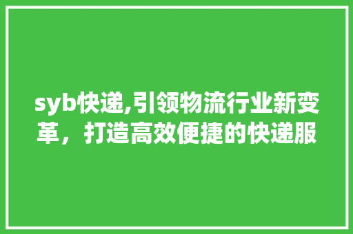 syb快递,引领物流行业新变革，打造高效便捷的快递服务
