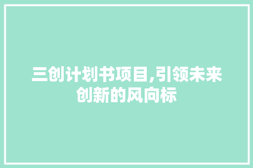 三创计划书项目,引领未来创新的风向标 演讲稿