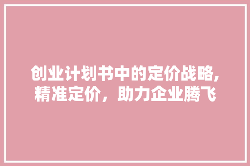 创业计划书中的定价战略,精准定价，助力企业腾飞