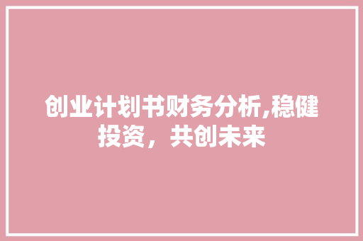 创业计划书财务分析,稳健投资，共创未来