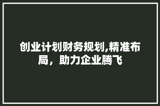 创业计划财务规划,精准布局，助力企业腾飞