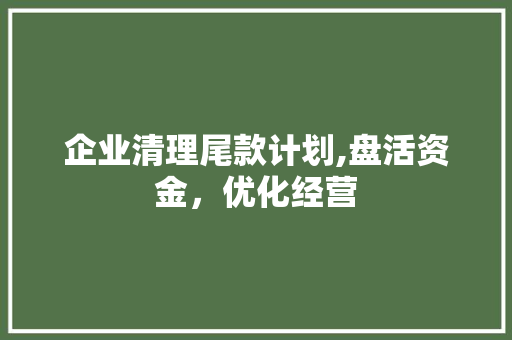 企业清理尾款计划,盘活资金，优化经营