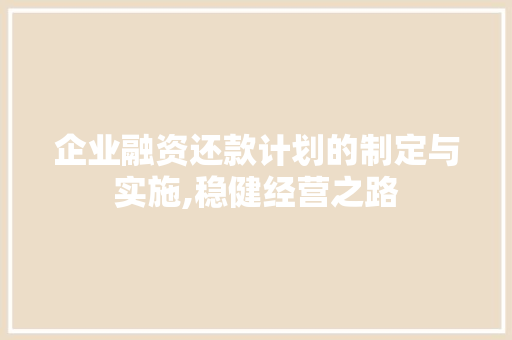 企业融资还款计划的制定与实施,稳健经营之路