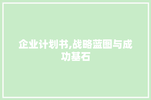 企业计划书,战略蓝图与成功基石