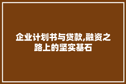企业计划书与贷款,融资之路上的坚实基石