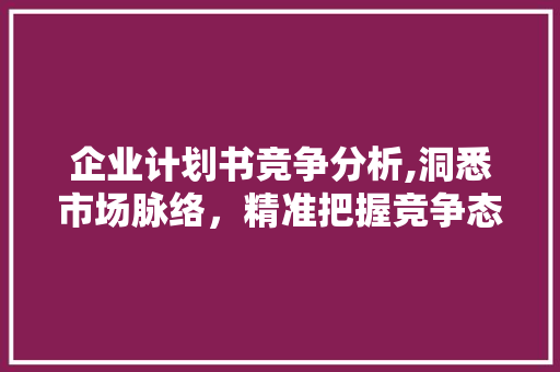 企业计划书竞争分析,洞悉市场脉络，精准把握竞争态势