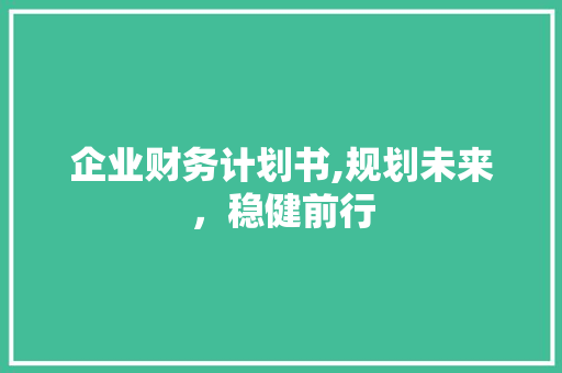 企业财务计划书,规划未来，稳健前行