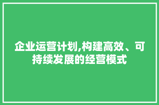 企业运营计划,构建高效、可持续发展的经营模式 国学经典