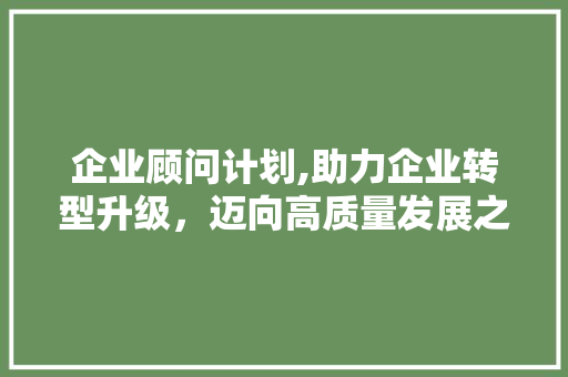 企业顾问计划,助力企业转型升级，迈向高质量发展之路