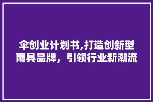 伞创业计划书,打造创新型雨具品牌，引领行业新潮流