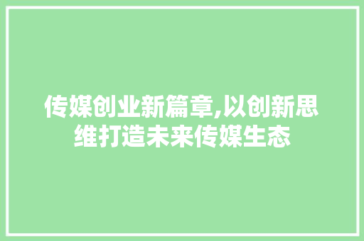传媒创业新篇章,以创新思维打造未来传媒生态
