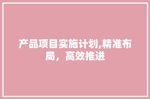 产品项目实施计划,精准布局，高效推进 个人简历