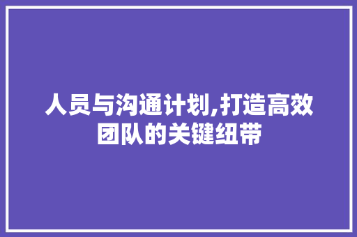 人员与沟通计划,打造高效团队的关键纽带