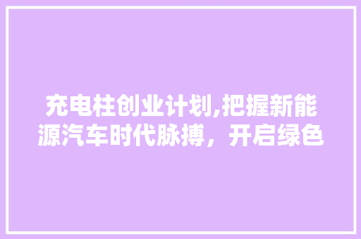 充电柱创业计划,把握新能源汽车时代脉搏，开启绿色能源新篇章