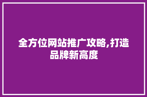 全方位网站推广攻略,打造品牌新高度
