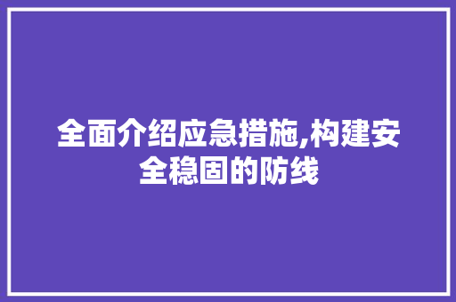 全面介绍应急措施,构建安全稳固的防线
