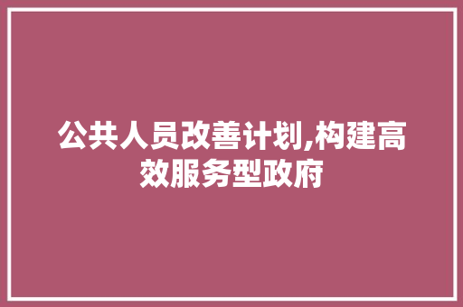 公共人员改善计划,构建高效服务型政府