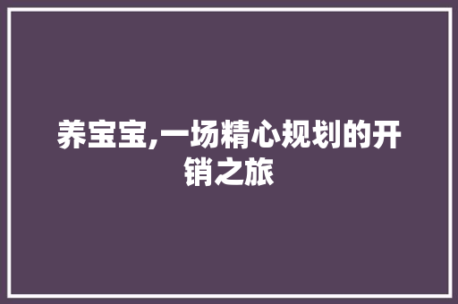 养宝宝,一场精心规划的开销之旅