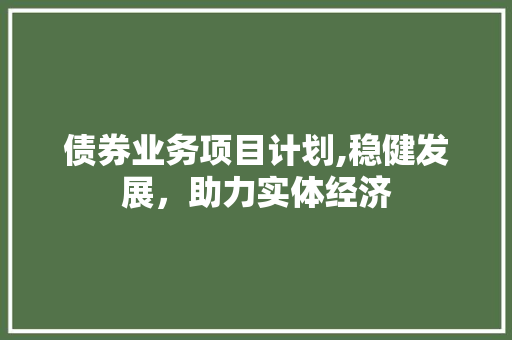 债券业务项目计划,稳健发展，助力实体经济