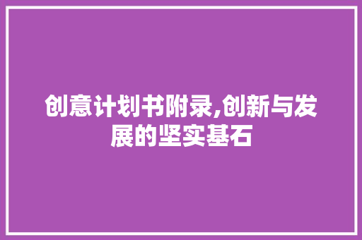 创意计划书附录,创新与发展的坚实基石 工作总结