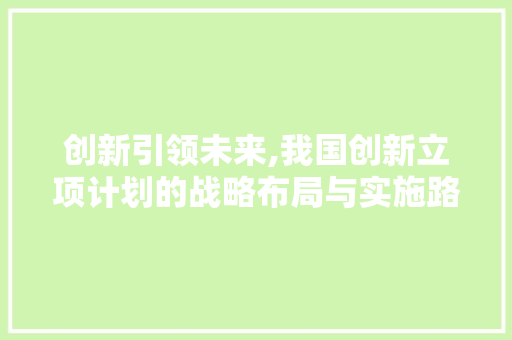 创新引领未来,我国创新立项计划的战略布局与实施路径