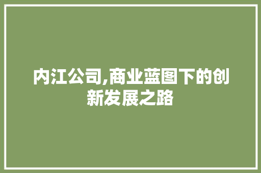 内江公司,商业蓝图下的创新发展之路