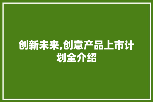 创新未来,创意产品上市计划全介绍