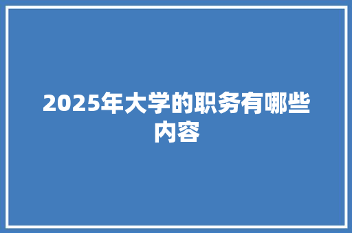 2025年大学的职务有哪些内容