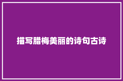 描写腊梅美丽的诗句古诗
