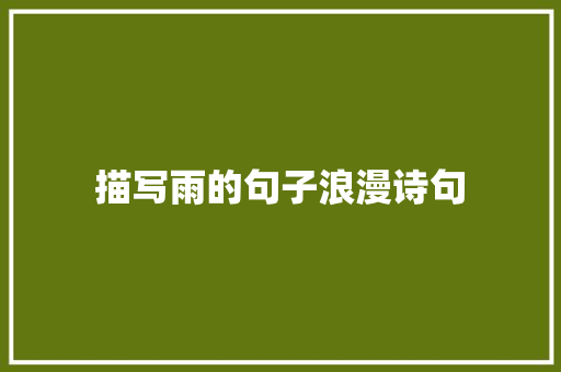 描写雨的句子浪漫诗句