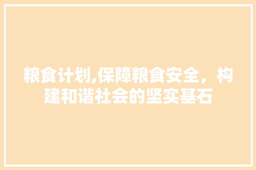 粮食计划,保障粮食安全，构建和谐社会的坚实基石