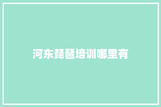 河东琵琶培训哪里有