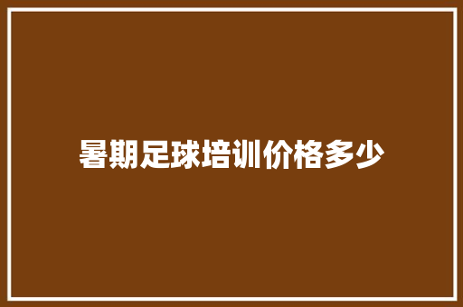 暑期足球培训价格多少