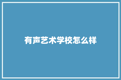 有声艺术学校怎么样