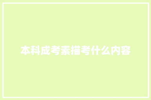 本科成考素描考什么内容