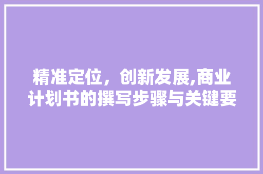 精准定位，创新发展,商业计划书的撰写步骤与关键要素介绍