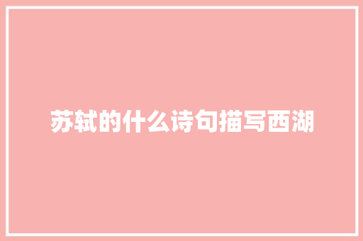 苏轼的什么诗句描写西湖