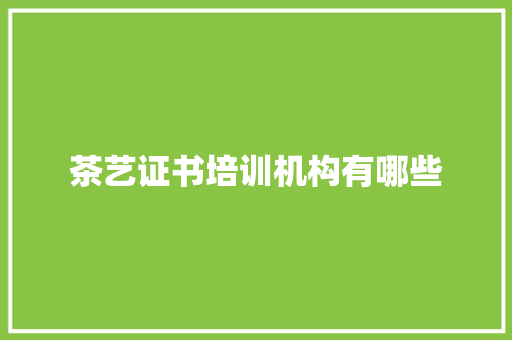 茶艺证书培训机构有哪些