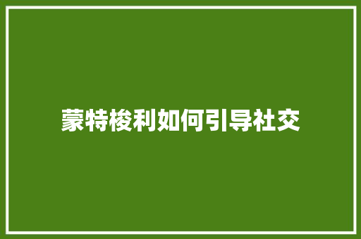 蒙特梭利如何引导社交