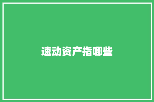 速动资产指哪些